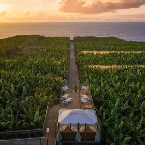 Hacienda La Dehesa (adults Only) , Buenavista Del Norte Spain